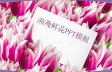 浪漫粉色鲜花ppt模板
