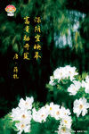 鲜花设计图__广告设计