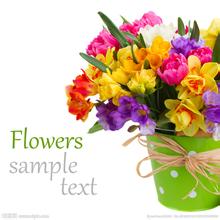 鲜花盛开设计图__花草