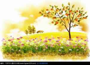 鲜花柿子和草地上的房子