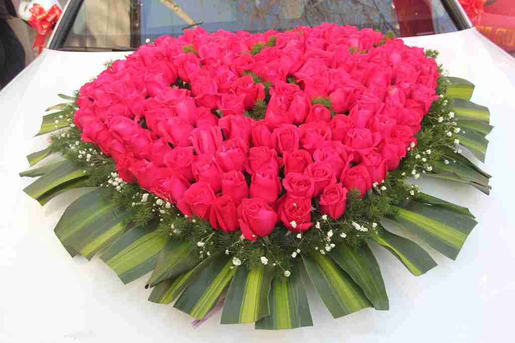 花车鲜花照片摄影图__花草