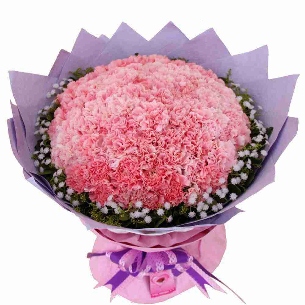 全国鲜花速递朵康乃馨花束鲜花束北京上海全