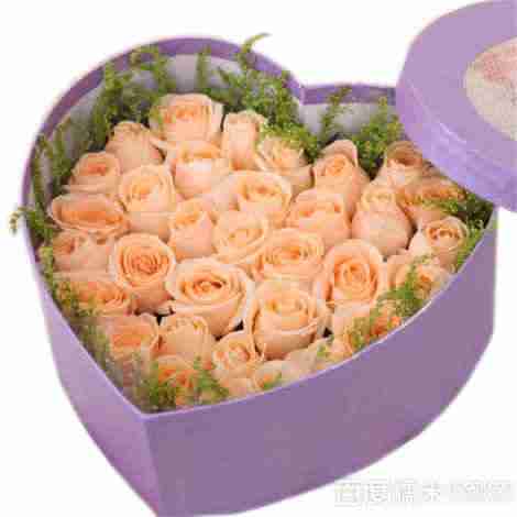 哲尼柯哲尼柯鲜花速递