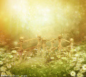 木桥和鲜花淘宝主图背景