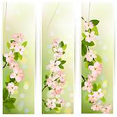 春天的树枝鲜花绿叶展板