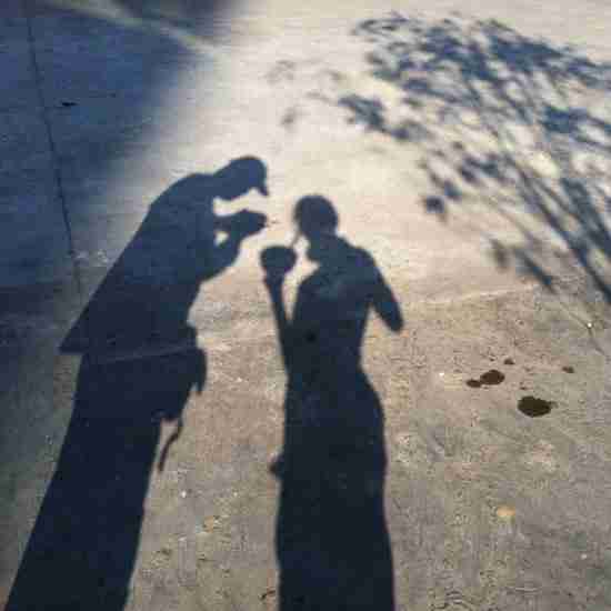 路的两边鲜花怒放