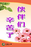 中国人寿|保险|鲜花