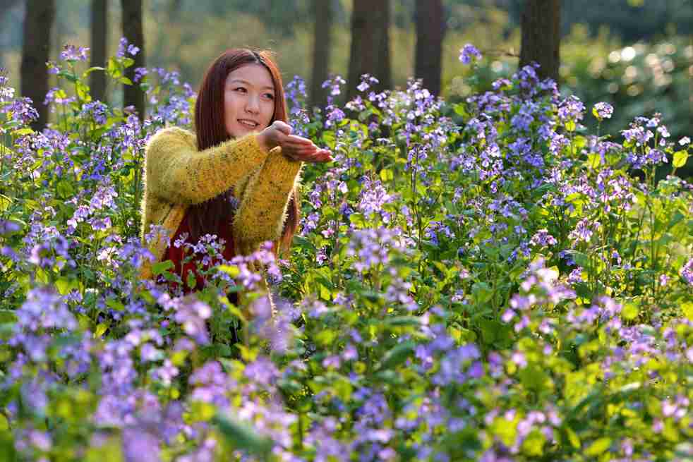 鲜花与美女美女写真