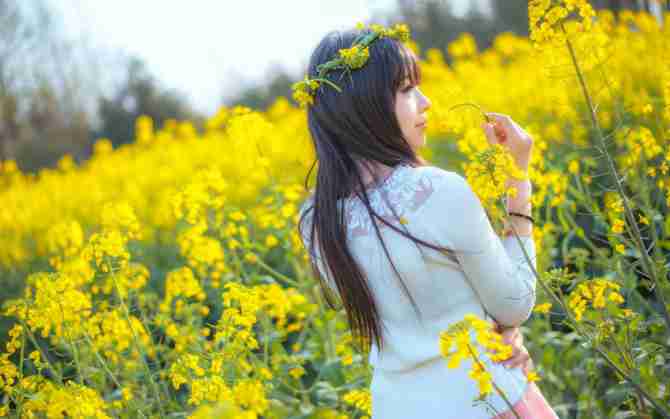 油菜花美女电脑主题