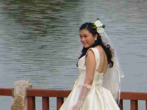 鲜花与美女佳能sx