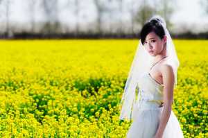 美女油菜花_江铃论坛