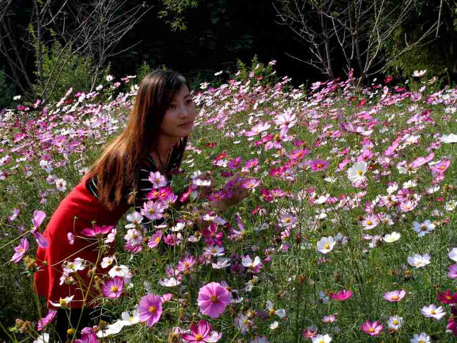 美女恋花摄影图片黄石人像摄影