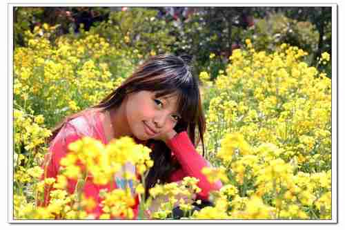 油菜花美女_佳能dd论坛