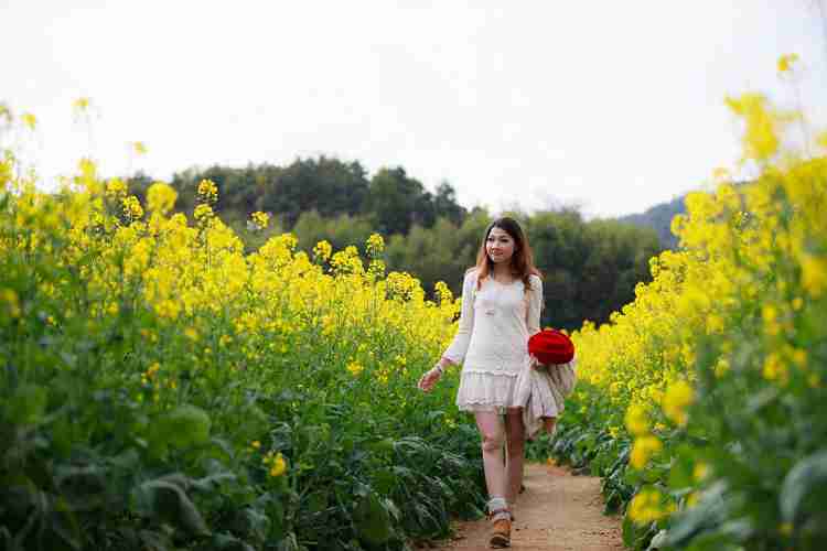 油菜花与美女!