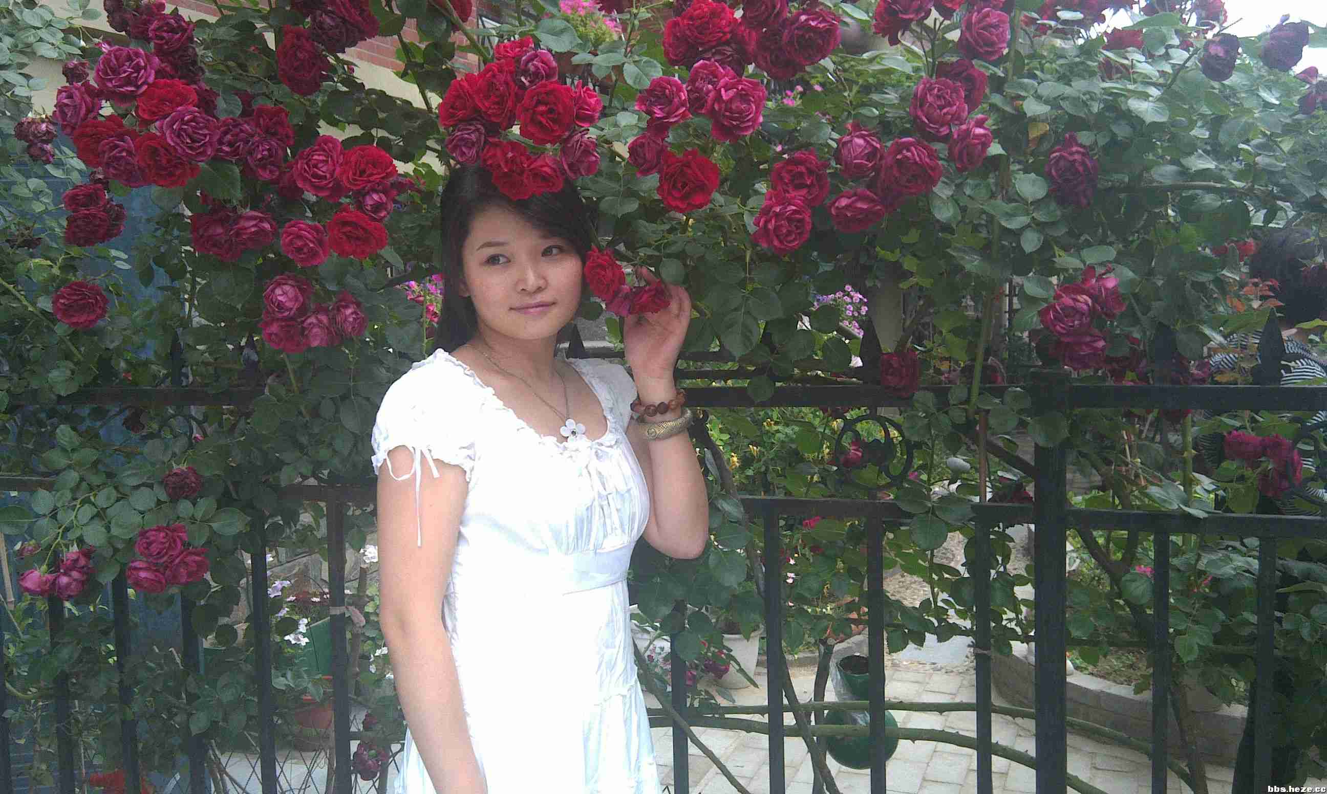 美女与鲜花新人学摄影菏泽信息港旗下牡丹茶座最