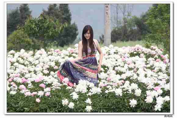 芍药谷之美女与花