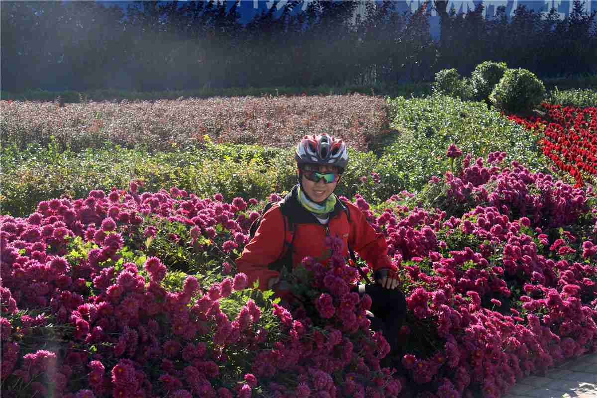 醉情美丽的花丛!