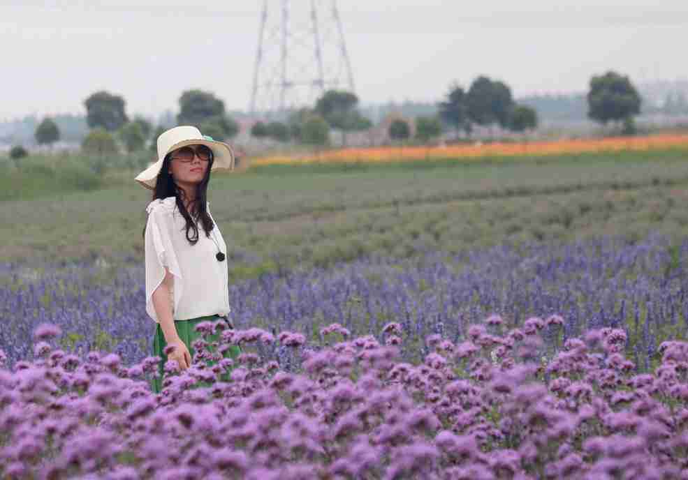 花丛中一群快乐的女人