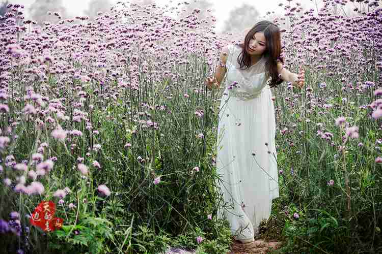 花丛中的美女+经典dj舞曲首