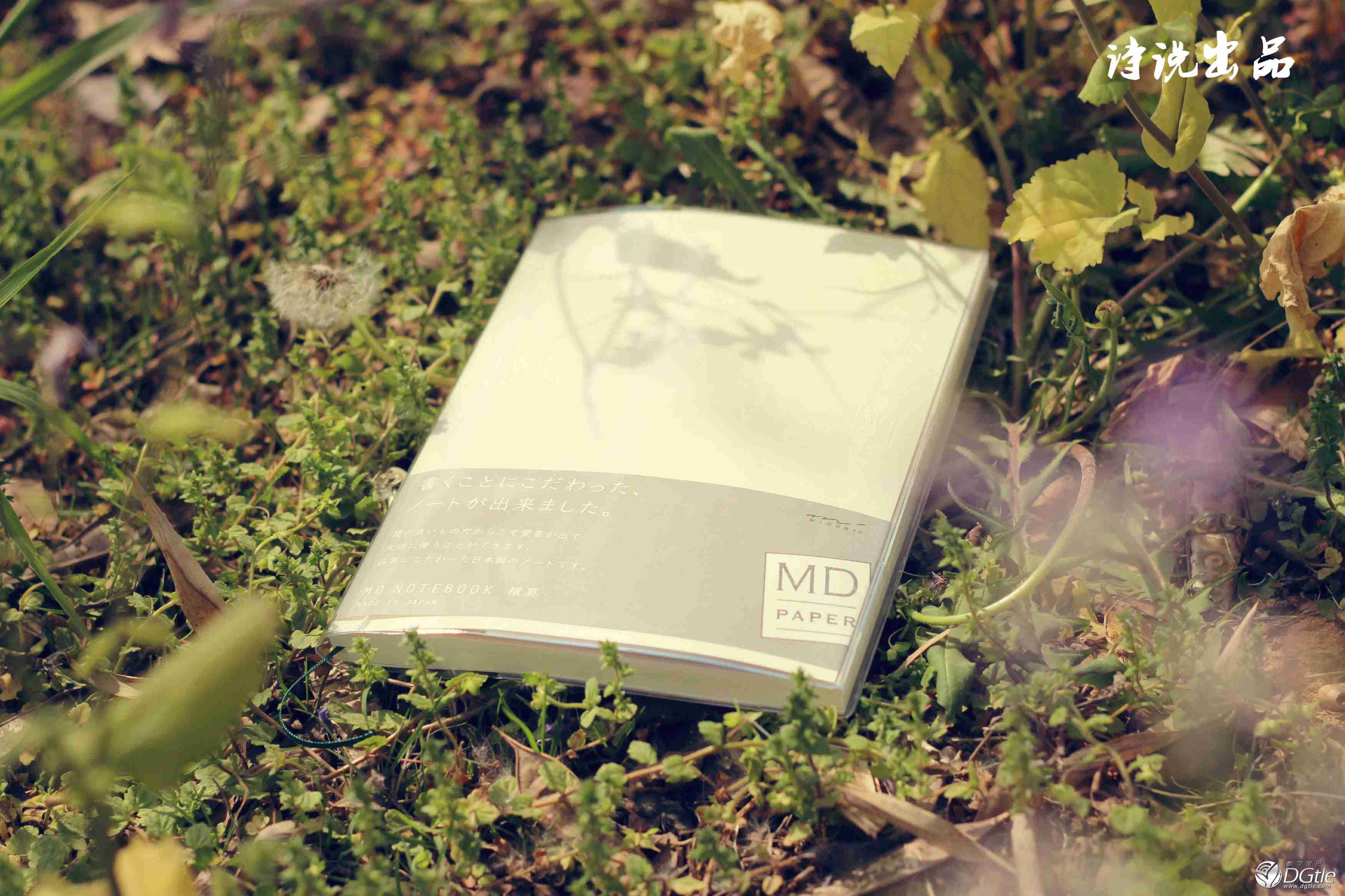 躲在花丛|就染上花的倒影