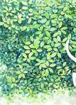 慢吞吞地在花丛里走来走去