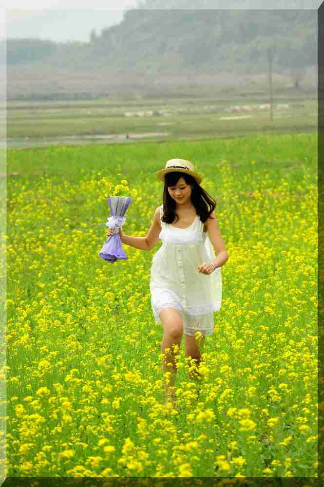 她从花丛中来龙去脉