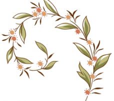 简约水彩植物色彩线描装饰画