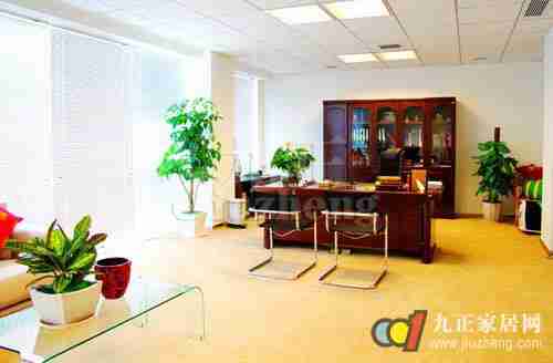 室内植物摆放简单改变风水