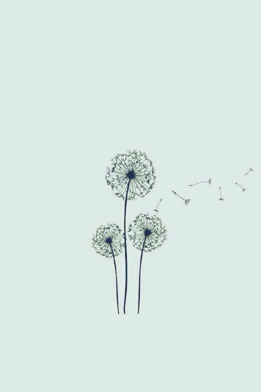 手绘简约水印风