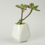 简约白色创意多肉植物陶瓷三角倒梯形拼接盆栽花盆直