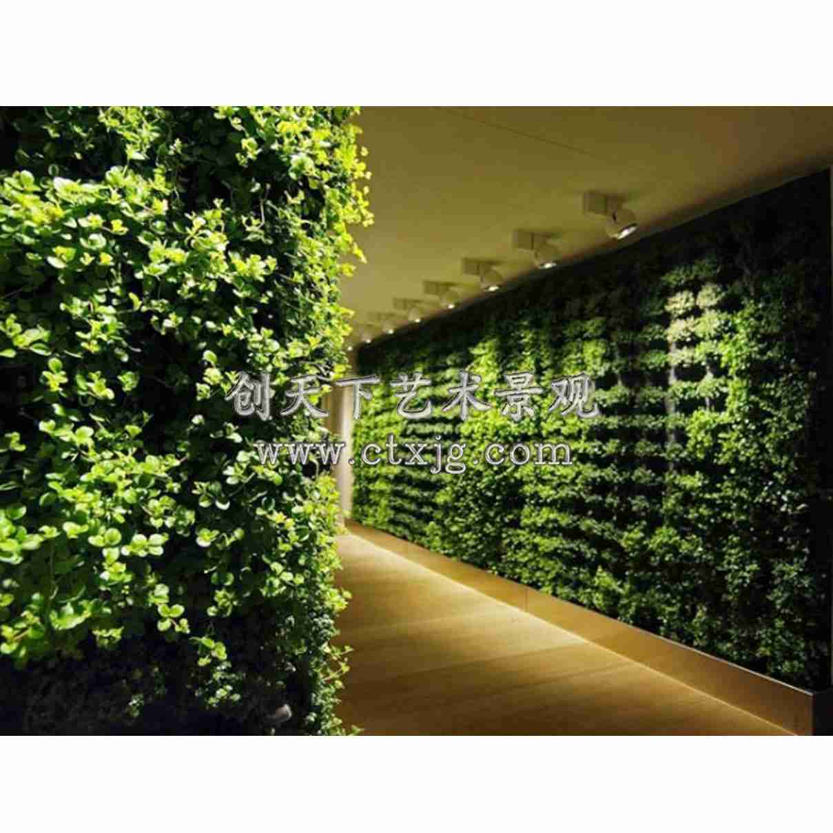 简约商务植物墙武汉创天下艺术景观