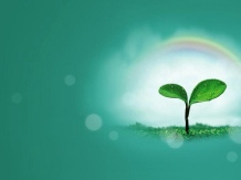 小清新简约背景