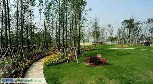 植物造景不简单!必备十二个关键点