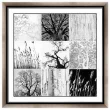 简约黑白植物组合画