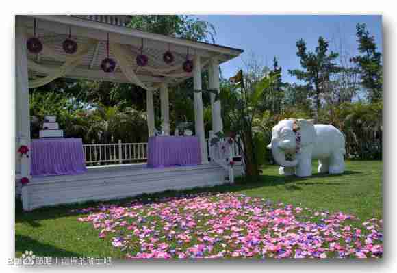 时尚简约婚礼人文纪实论坛zol中关村在线