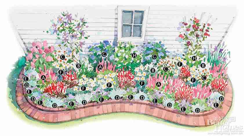 简单的植物布局设计