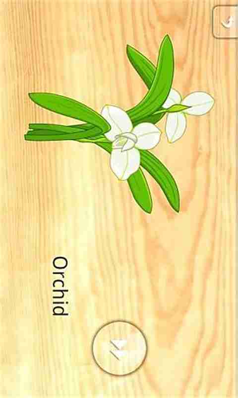 种植物种难度块|块