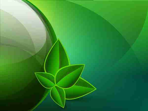 简约清爽绿叶背景