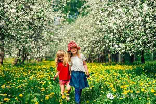 北欧式简约生活