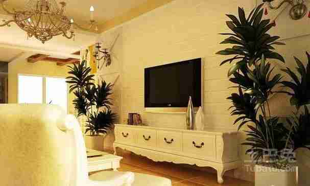 客厅风水客厅植物怎么摆?简单几招旺风水!