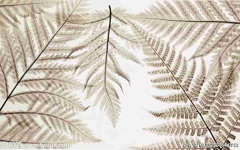 树叶简约背景墙