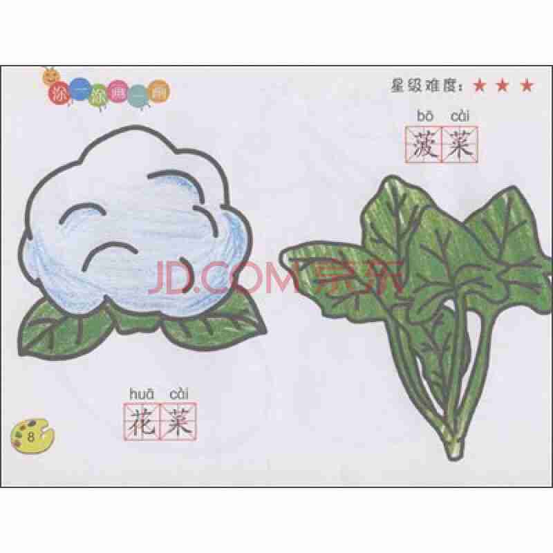 植物巧手涂画张芳芳