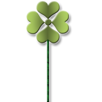 昵称小雨图案四叶草颜色绿色