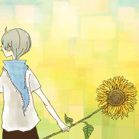 °_小片四叶草