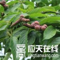 呵呵你儿子也有可能是富二代