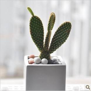 不要认为找个有钱男人就