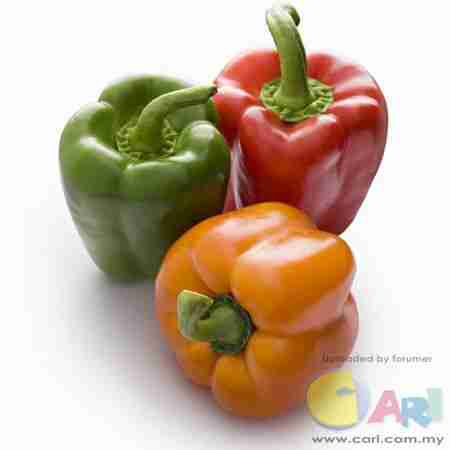 火热活动联谊交友每日签到区