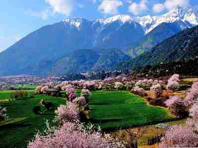 一起游同城旅游约伴交友