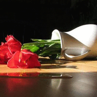 友谊带上巨大的帽子