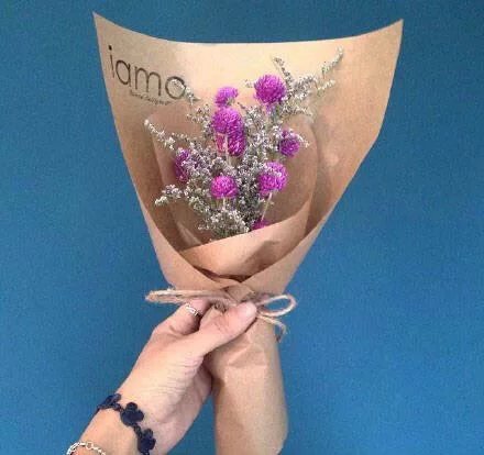 高清花朵头像微信